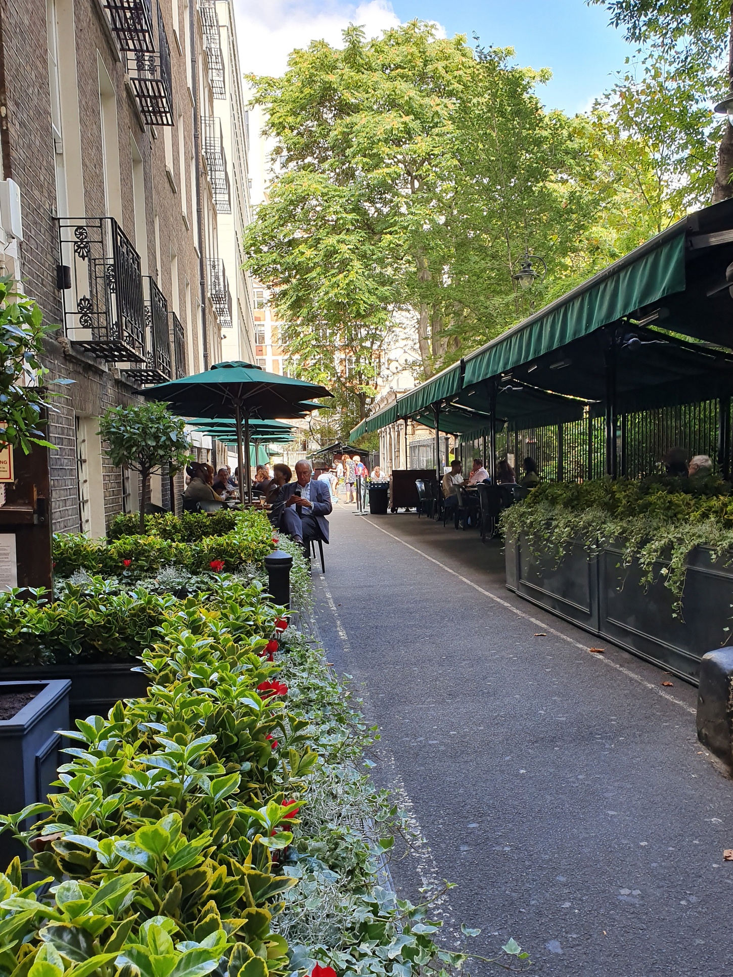Wine Bars Near Me Gordon's | London's Oldest Wine Bar | Embankment, London