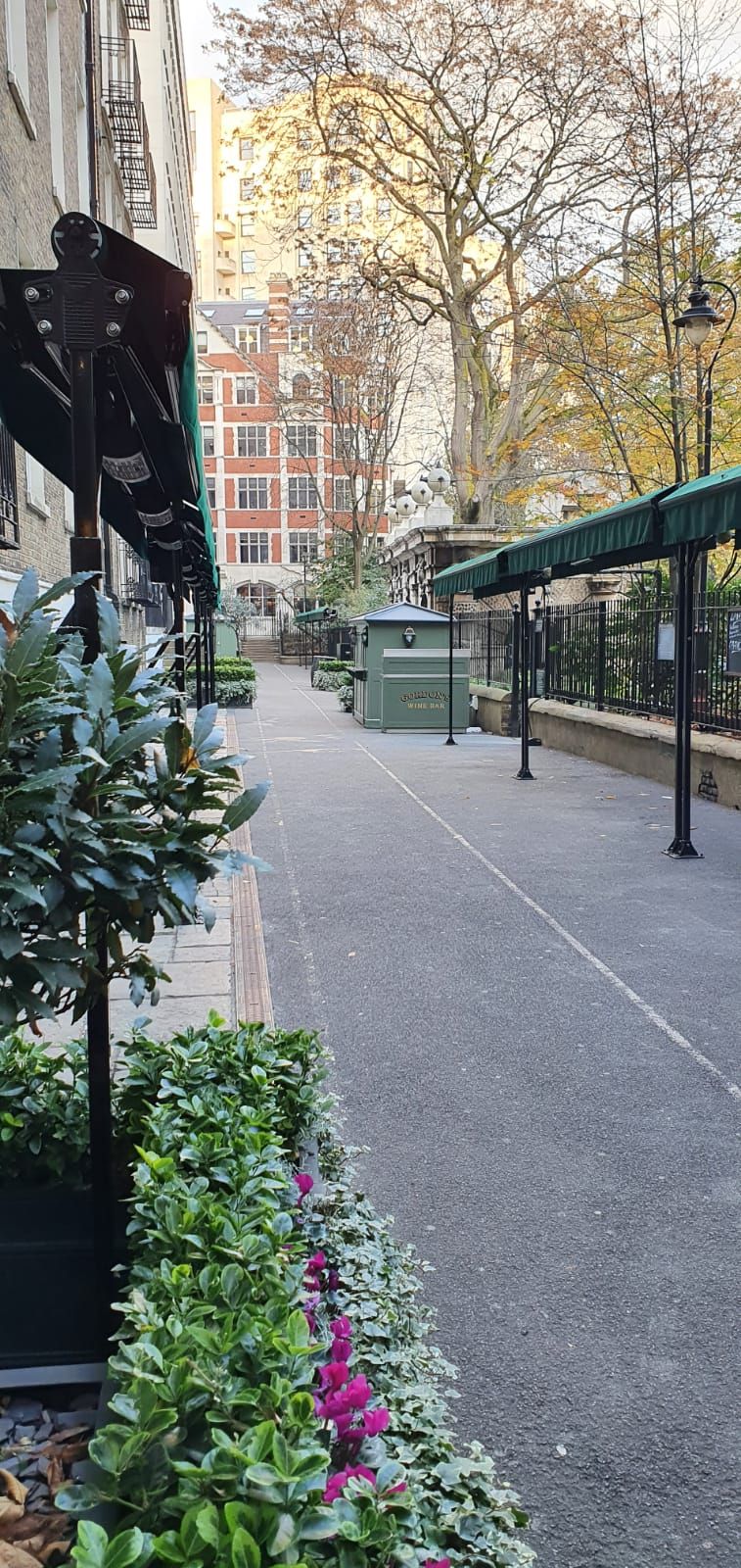 WhatsApp Image 2020-11-05 at 15.17.01